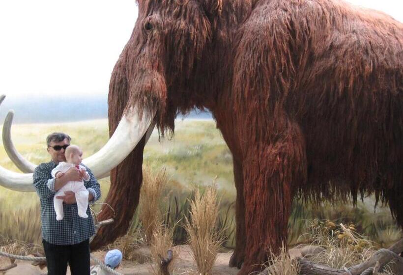 Wellness Pension Iveta