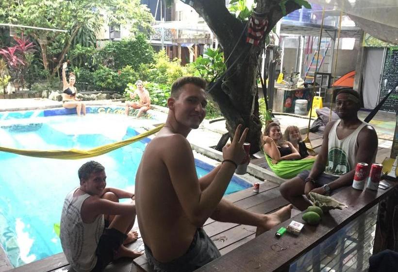 Yez Yez Yez All Good Hostel