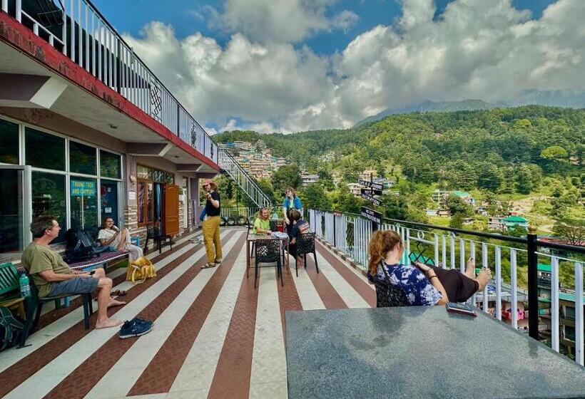 住宿加早餐 Backpackers Inn