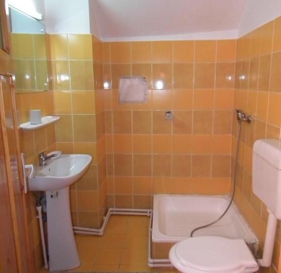 צימר Pensiunea Ando