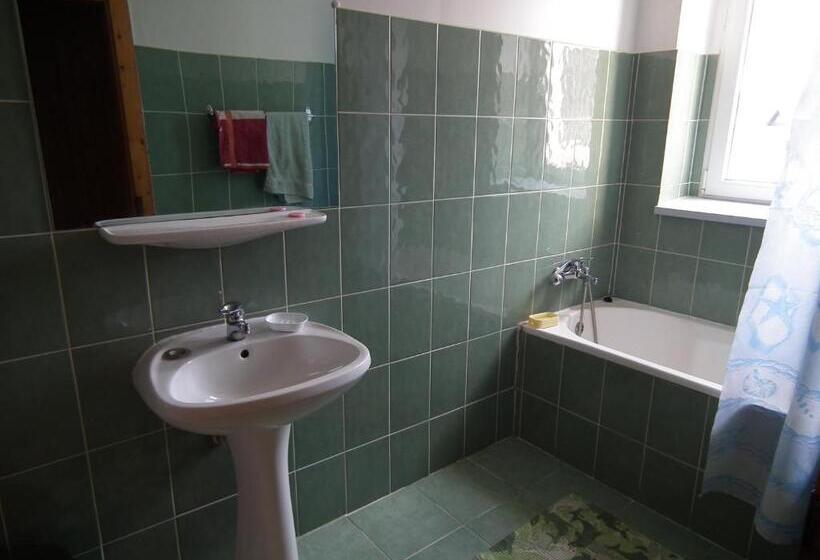 צימר Pensiunea Ando