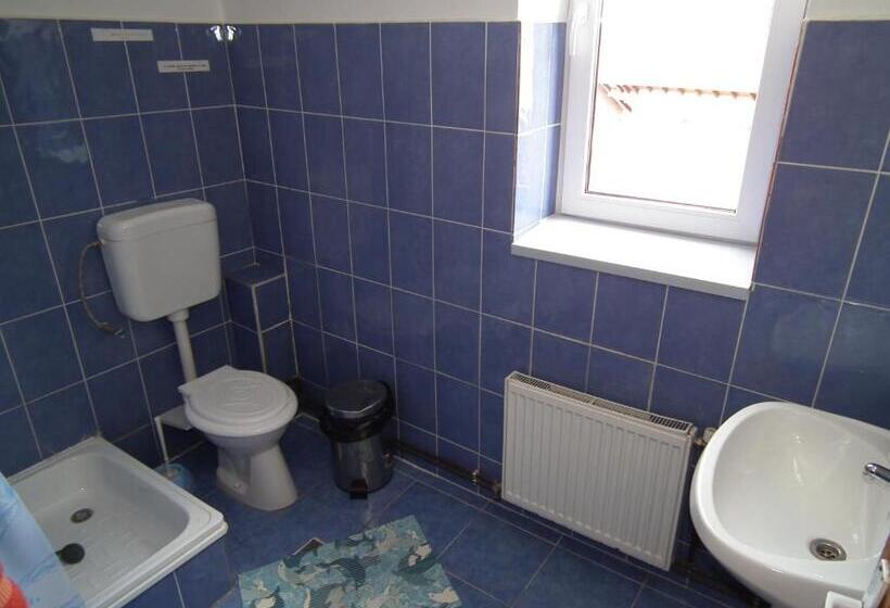 צימר Pensiunea Ando