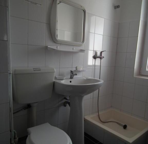 צימר Pensiunea Ando