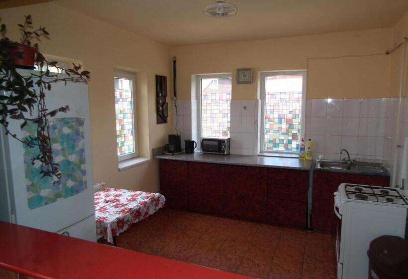 צימר Pensiunea Ando