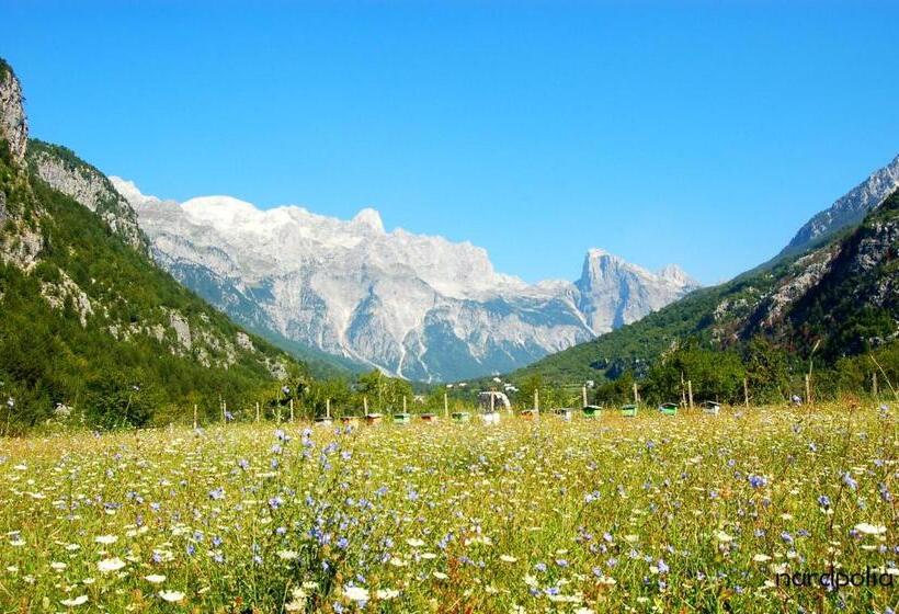 호텔 Bujtina Polia