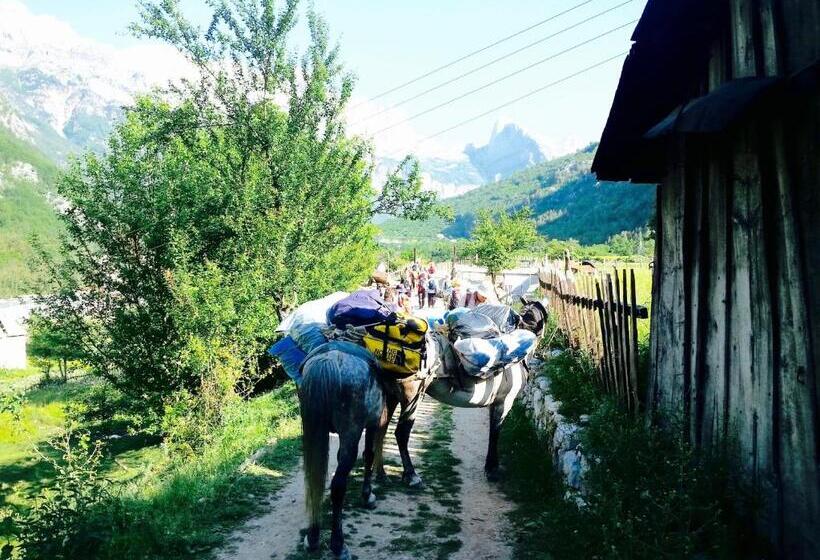 호텔 Bujtina Polia