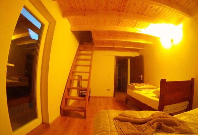 호텔 Bujtina Polia