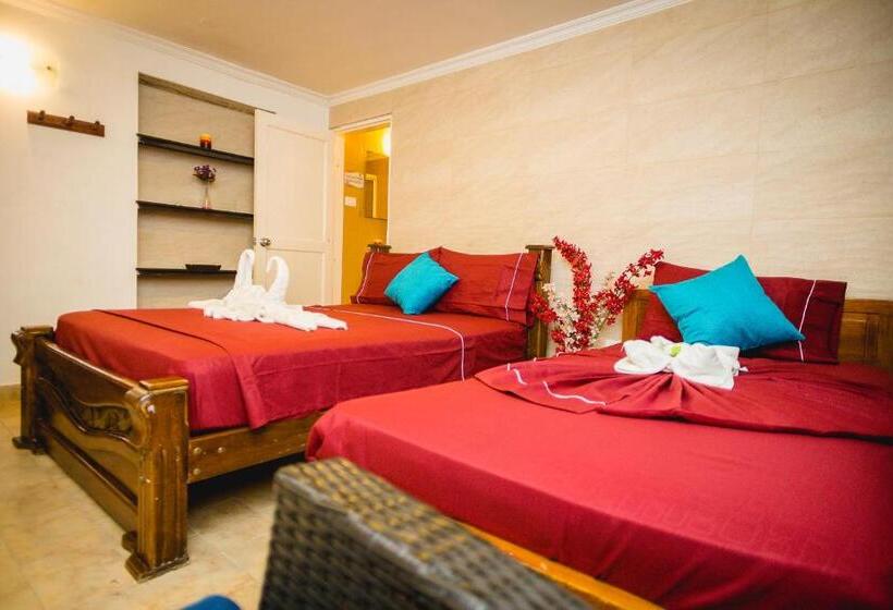 בית מלון כפרי El Viajero Centro