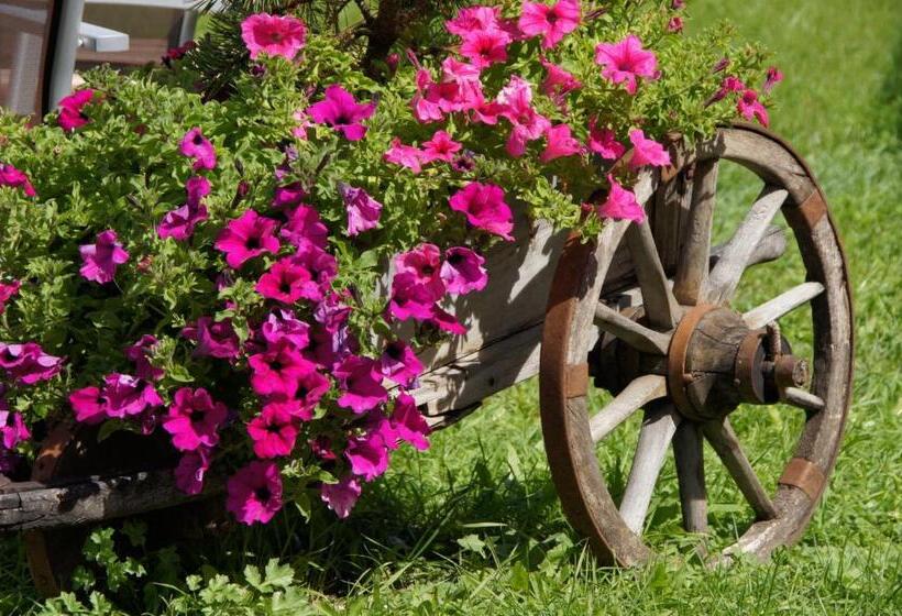 בית מלון כפרי Garni La Ciasota 3s