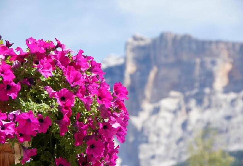 בית מלון כפרי Garni La Ciasota 3s