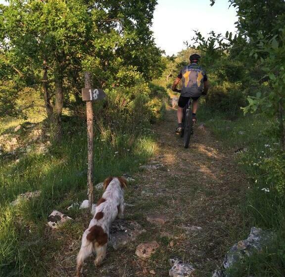 酒店 Masseria Camarda