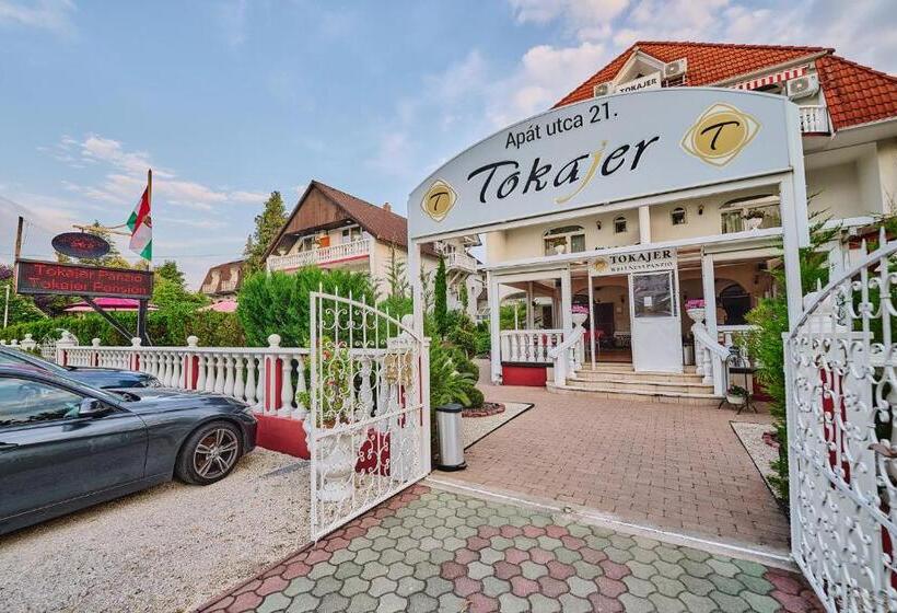 호텔 Tokajer Wellness Panzió