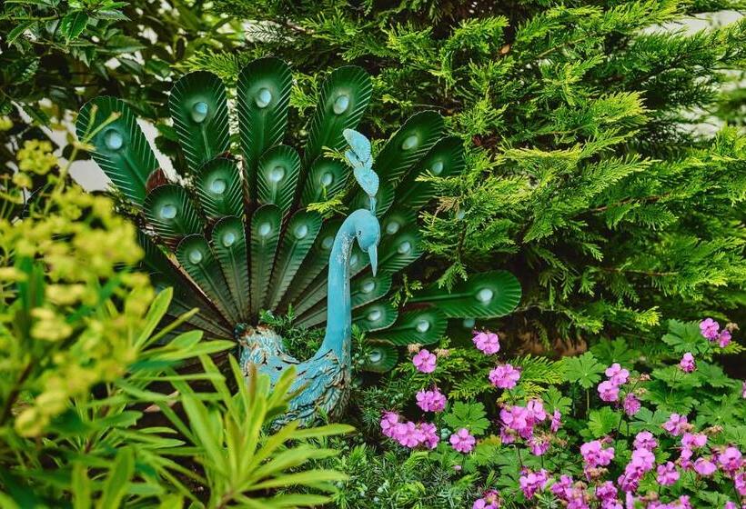 호텔 Tokajer Wellness Panzió