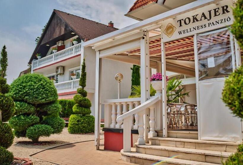호텔 Tokajer Wellness Panzió