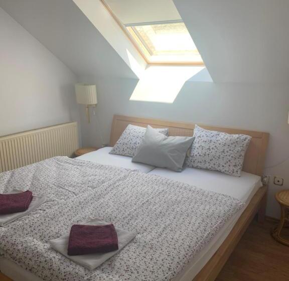 بنسيون Haus Kristina