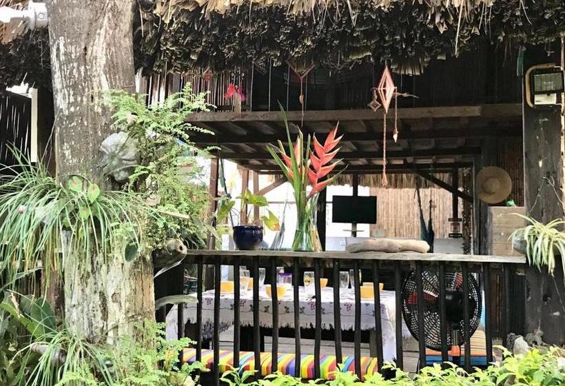 פנסיון Casa Zinpar