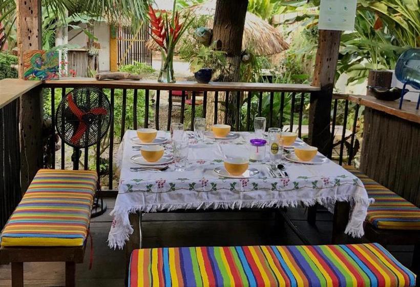 פנסיון Casa Zinpar