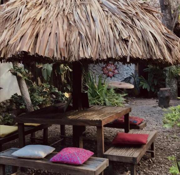 פנסיון Casa Zinpar