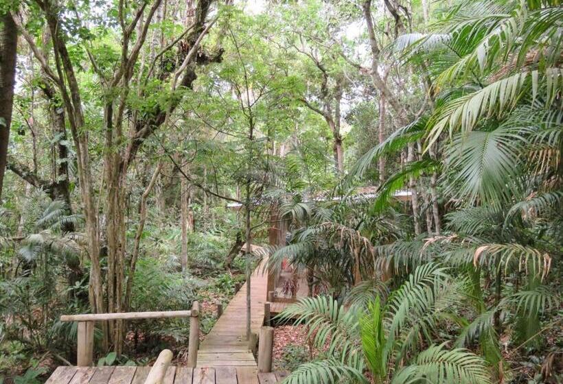 ペンション Pousada águas De Ibiraquera Suíte Luz
