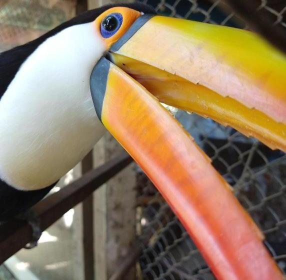 膳宿费 Residencial Praia Bertioga