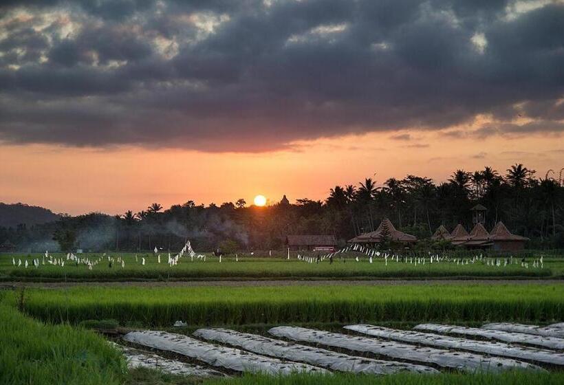 پانسیون Rumah Dharma