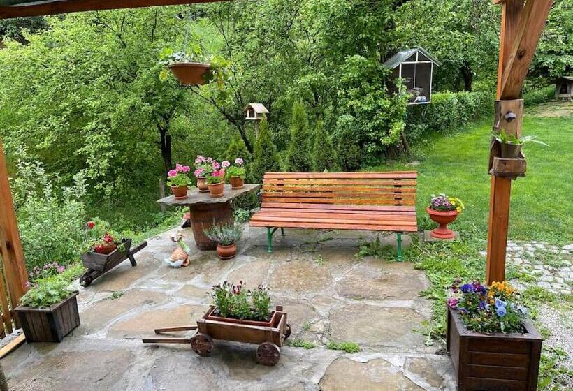 بنسيون Sun House