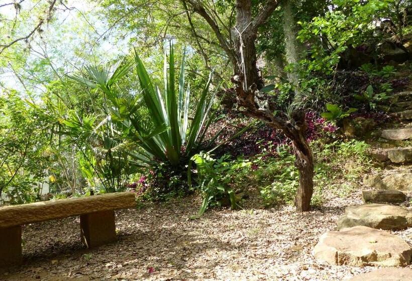 Posada Finca San Vicente B&b