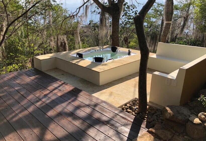 Posada Finca San Vicente B&b