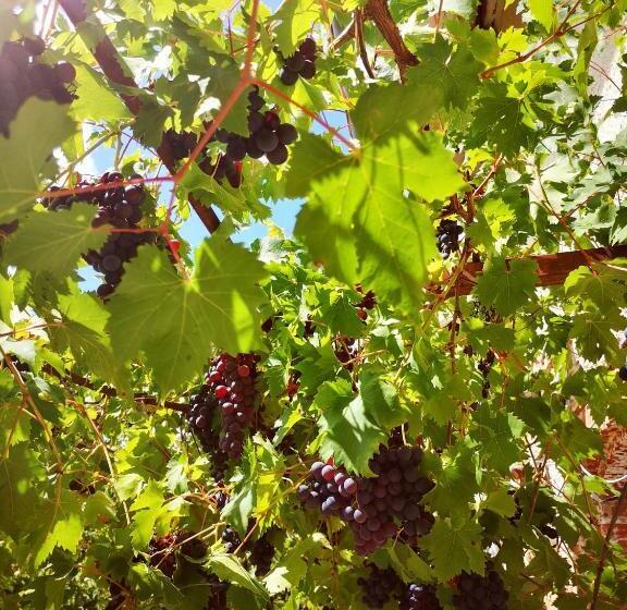 住宿加早餐  Domaine Des Jammetous   Hotel And Yoga Retreat Center