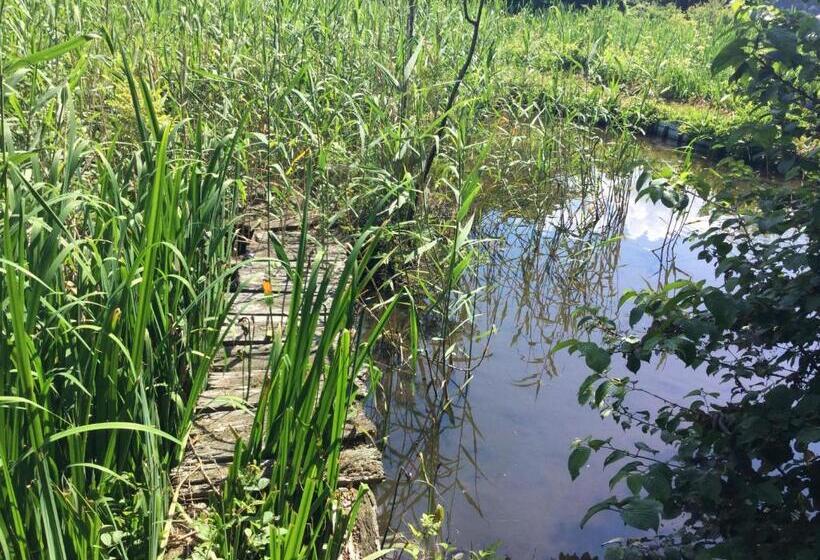 בית מלון כפרי Bunbuku No Yu