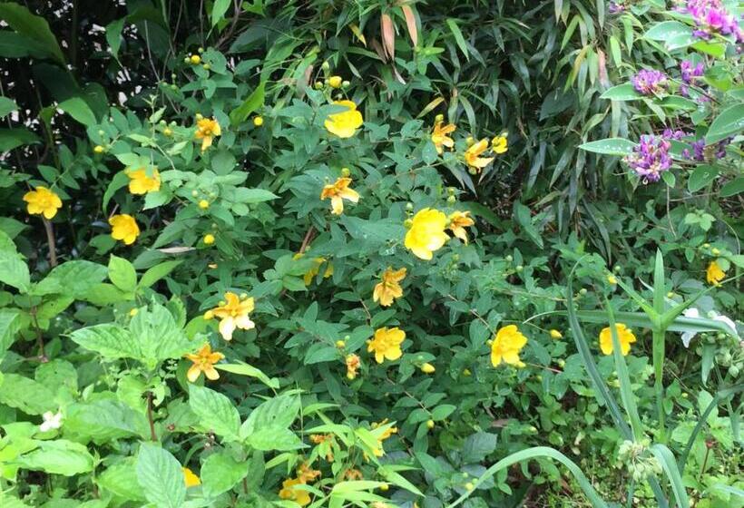 בית מלון כפרי Bunbuku No Yu