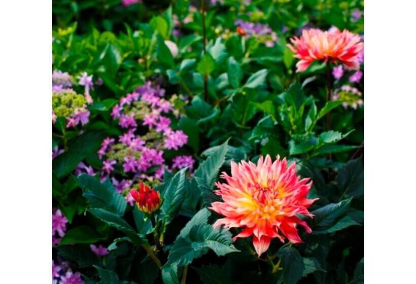 فندق Business Inn Umesaki