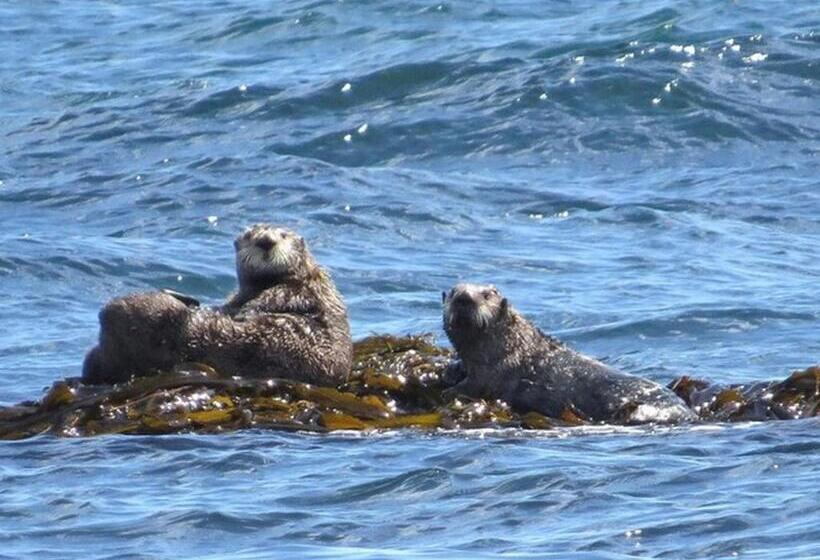 Tabist Hotel Nemuro Kaiyoutei