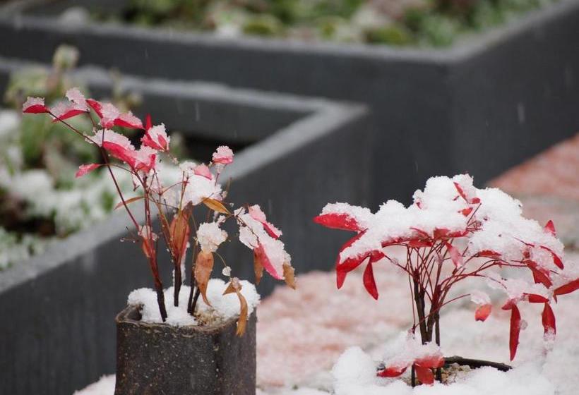 酒店 Ubusuna No Sato Tomimoto