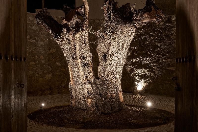 Nomad Mykonos   Small Luxury Hotels Of The World