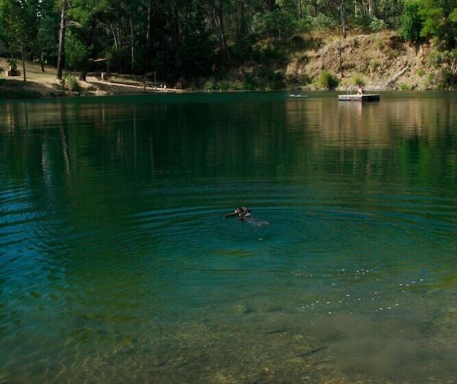בית מלון כפרי The Harrietville Snowline