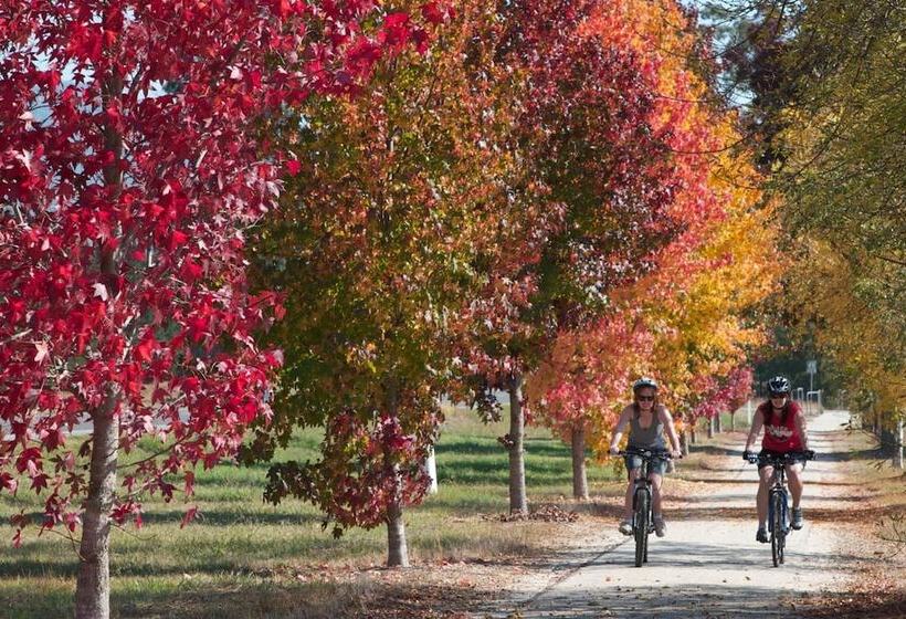 בית מלון כפרי The Harrietville Snowline