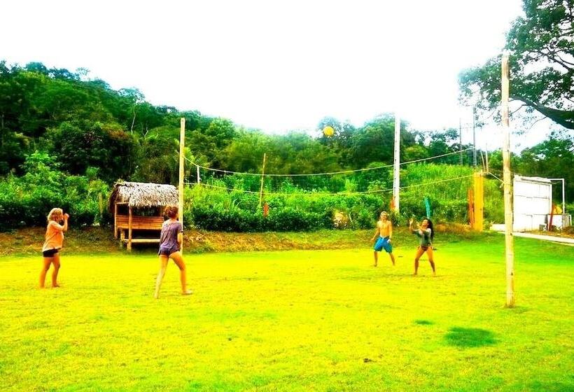 Общежитие Berlin  Spa & Finca