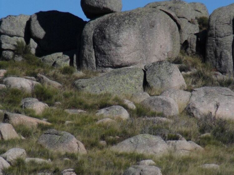 ベッドアンドブレックファースト L'atelier S