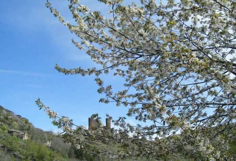 ベッドアンドブレックファースト L'atelier S