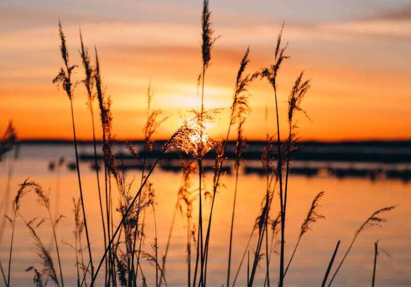 مبيت وإفطار Mormors Pensionat Strandhagen