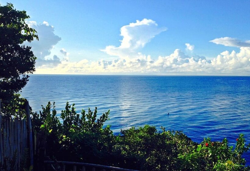 Bohol Lahoy Dive Resort