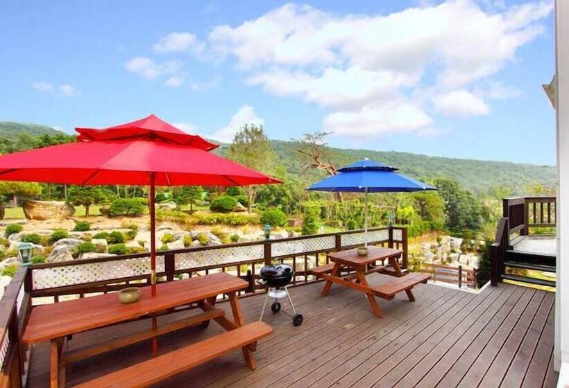 Afternoon Of The Forest Pension