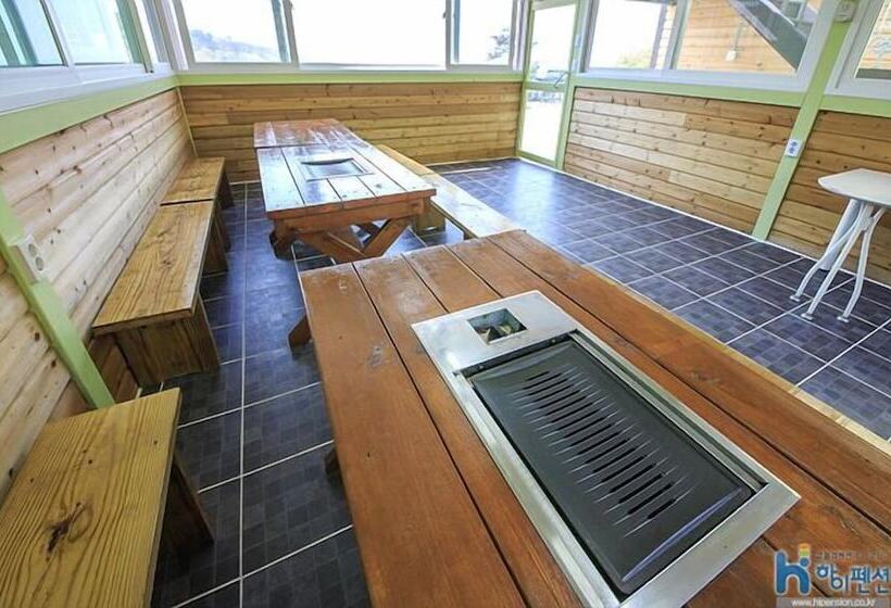 Afternoon Of The Forest Pension