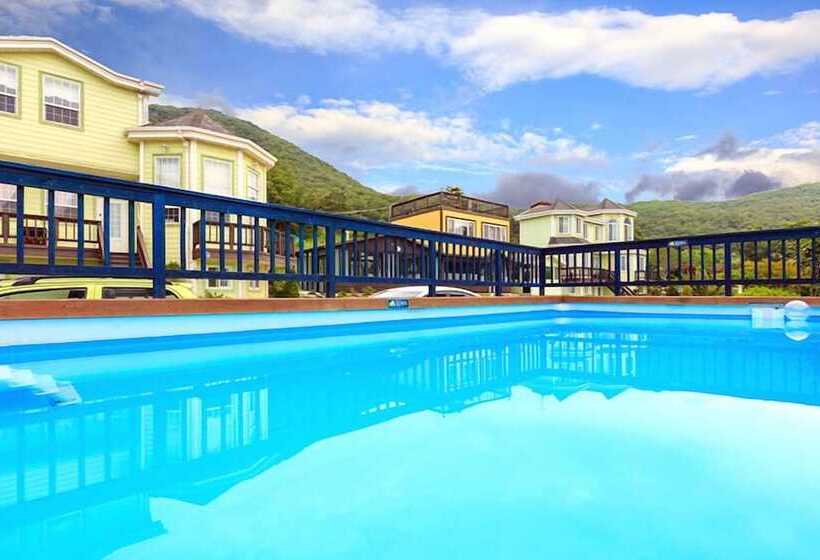 Afternoon Of The Forest Pension