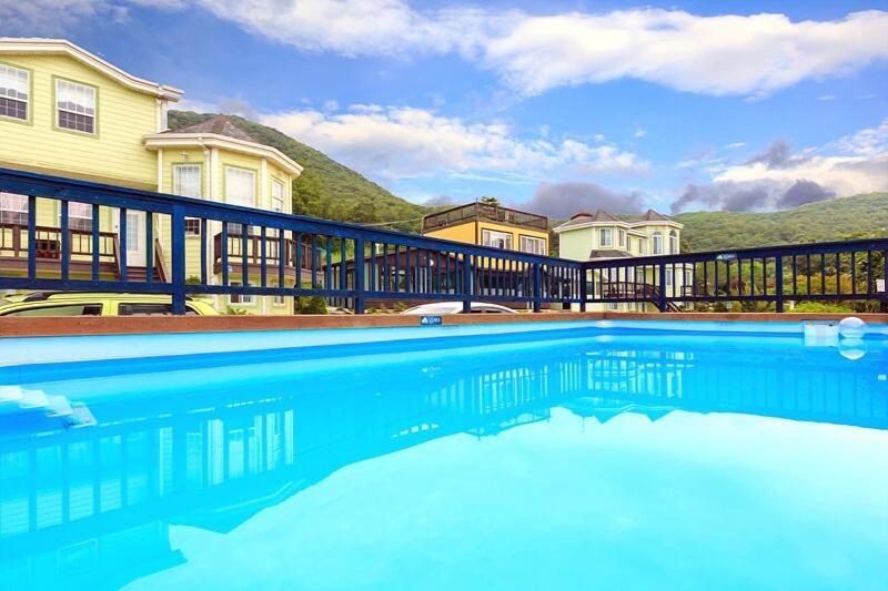 Afternoon Of The Forest Pension