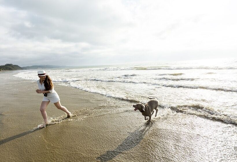 Green9 Hotel & Beach Resort Same