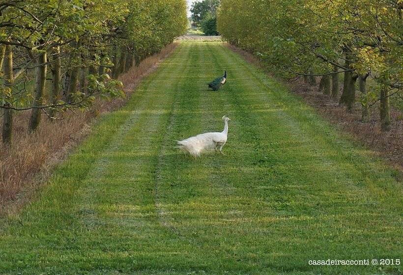 פונדק Casa Dei Racconti