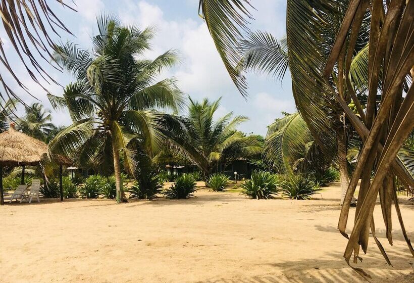 酒店 The Akwidaa Inn