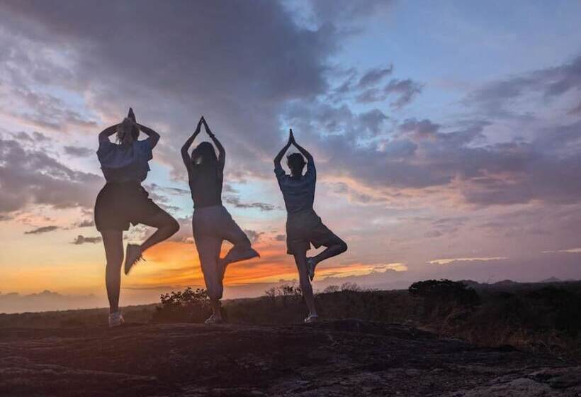 酒店 Big Game Udawalawe By Eco Team